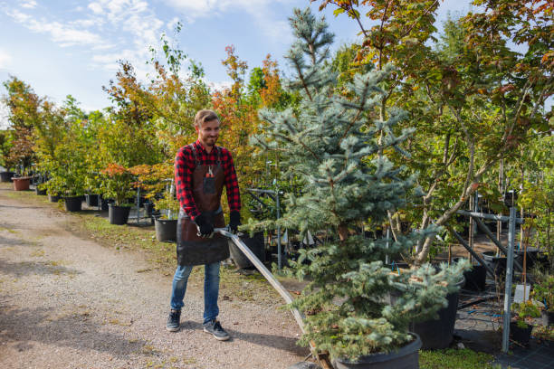 Best Tree Trimming and Pruning  in Pembroke, NC